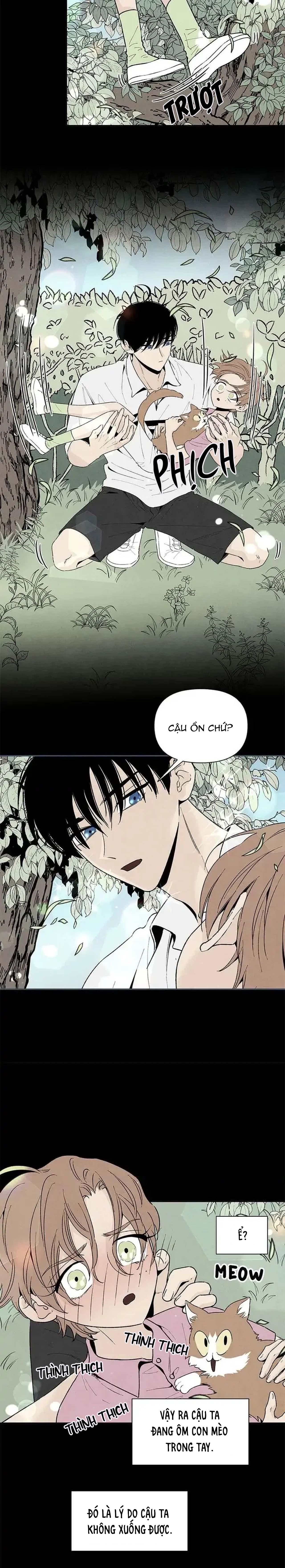 bona sort chapter 52 3