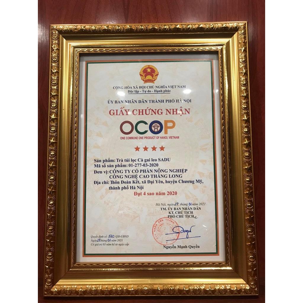 Cà gai leo sadu bảo vệ gan, tăng cường chức năng gan 250g
