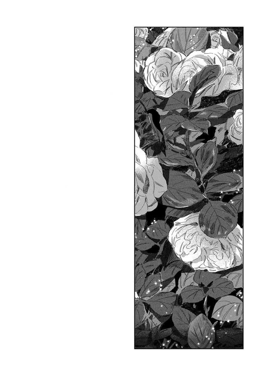 tình yêu hoa hồng dại chapter 3 28