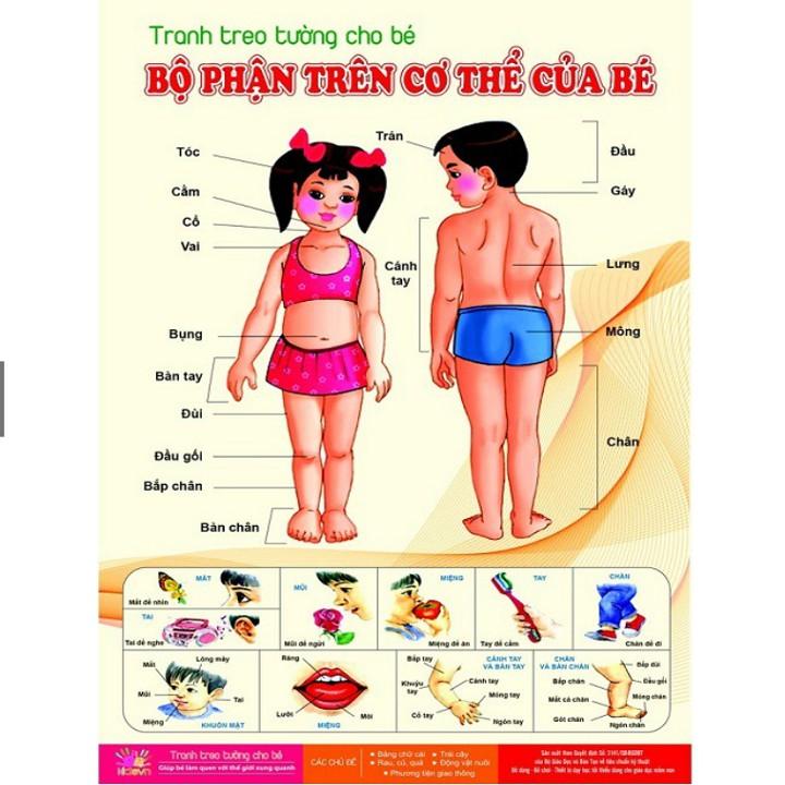 Bộ Tranh Treo Tường Có Rất Nhiều Chủ Đề Cho Bé, Giúp Bé Sớm Nhận Biết Thế Giới Xung Quanh - HD365