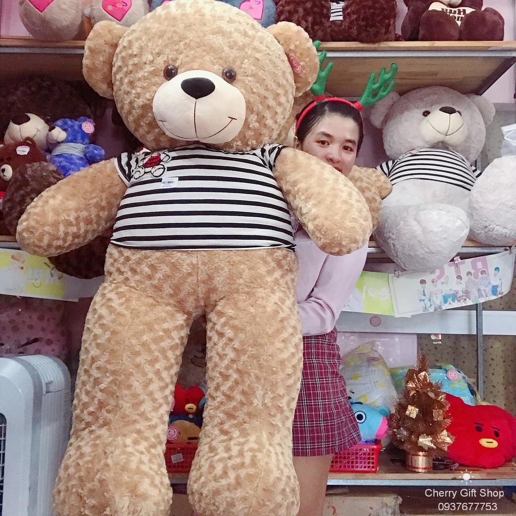 Gấu Bông Teddy Cao Cấp Giá Sốc 1m4 Ảnh Shop Chụp