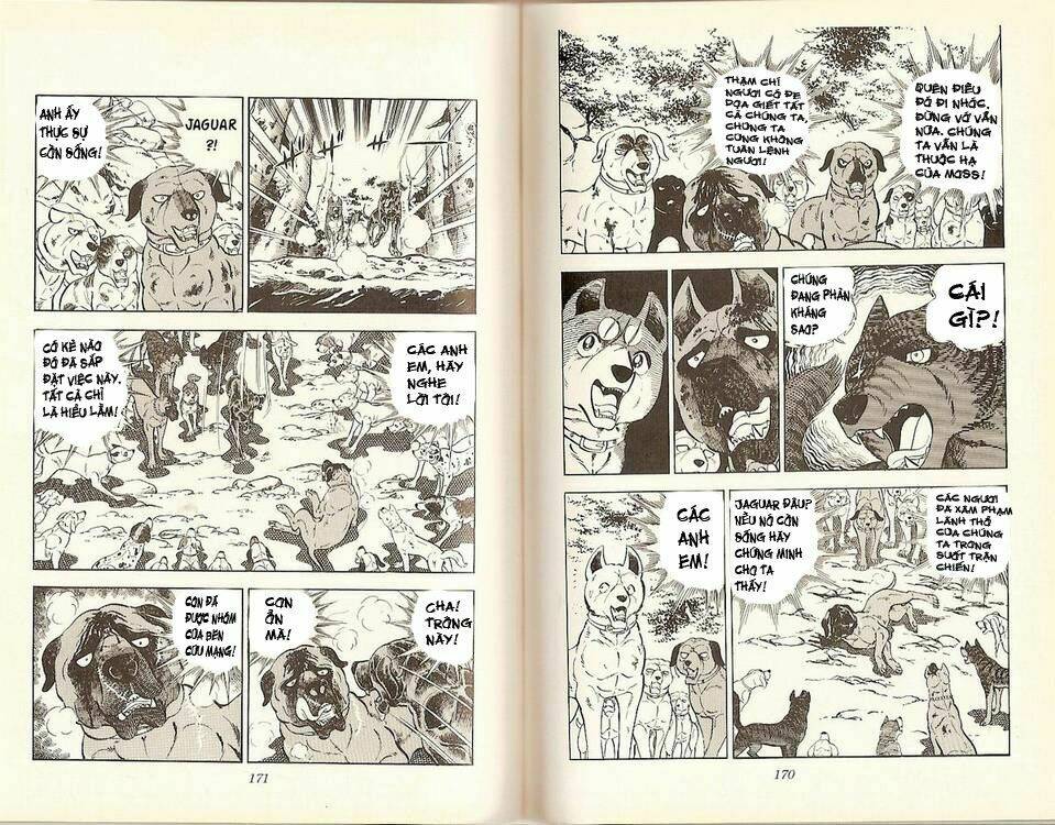 chú chó có nghĩa - ginga nagareboshi gin chapter 16 33