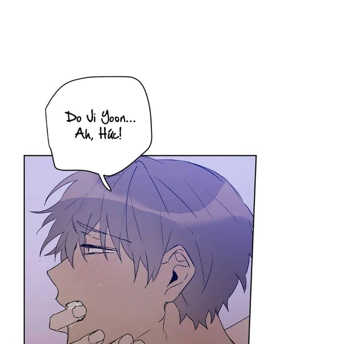 guide cấp b chapter 22 31