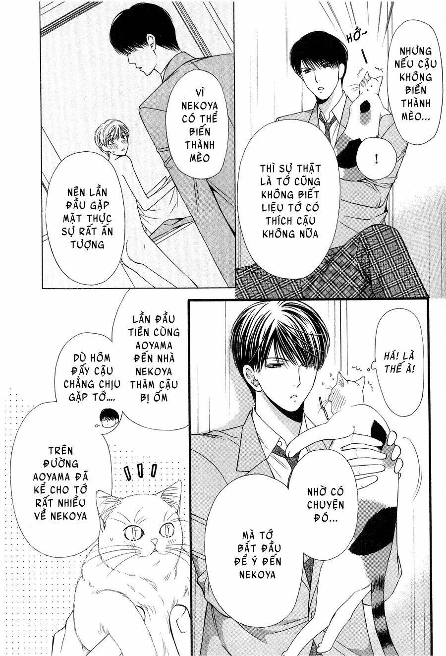 neko neko honey chapter 12 15