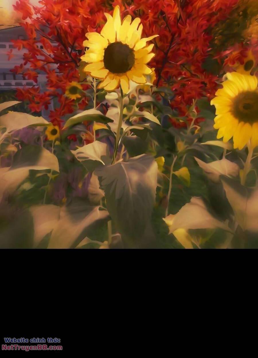 tử thần chapter 122 13