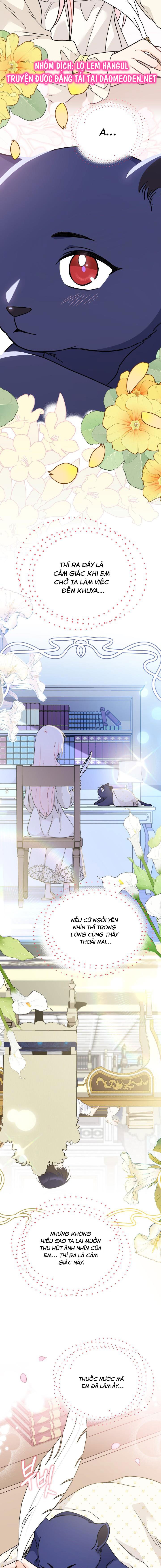 mối liên kết giữa báo đen và bé thỏ chapter 163 16