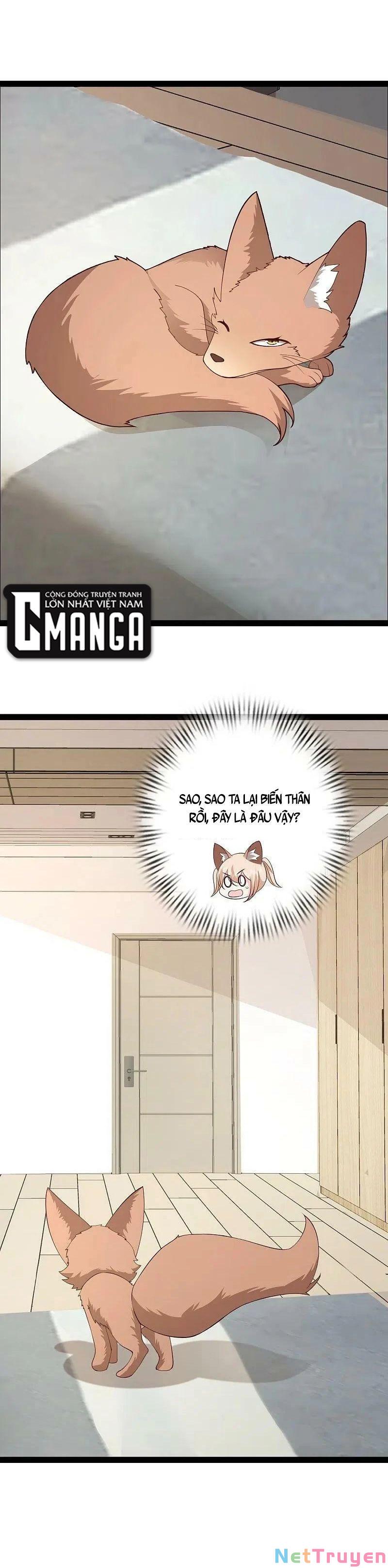 tối cường vận đào hoa chapter 276 1