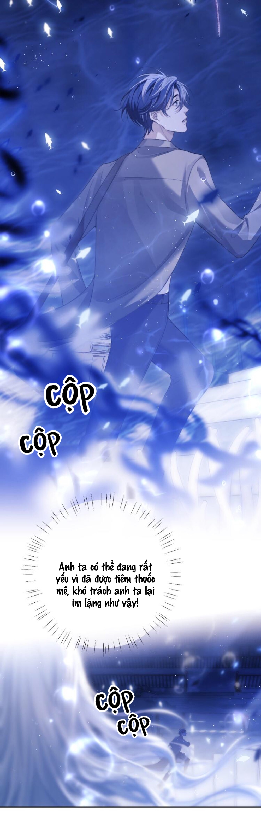 nhân ngư dessaro chapter 2 23