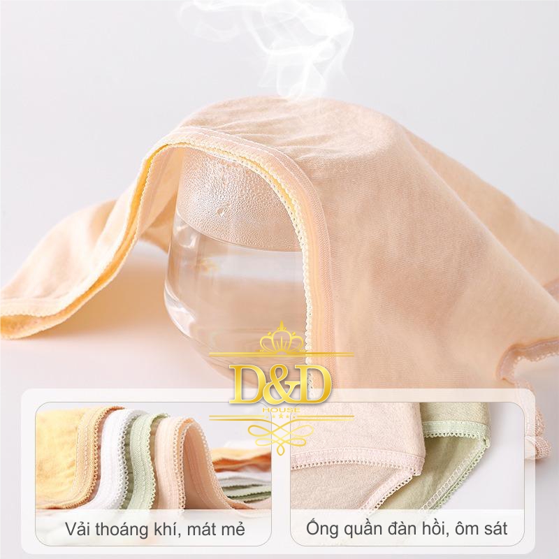 Combo 7 quần lót cotton nữ nhiều màu du lịch dùng 1 lần
