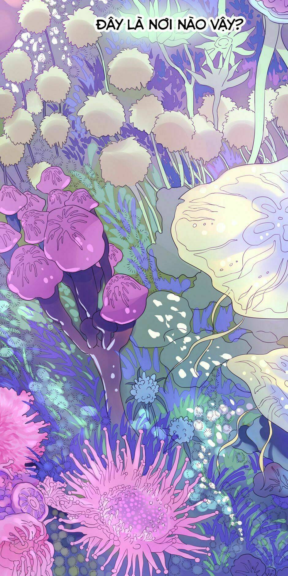 hiệp sĩ của nữ hoàng chapter 6 8