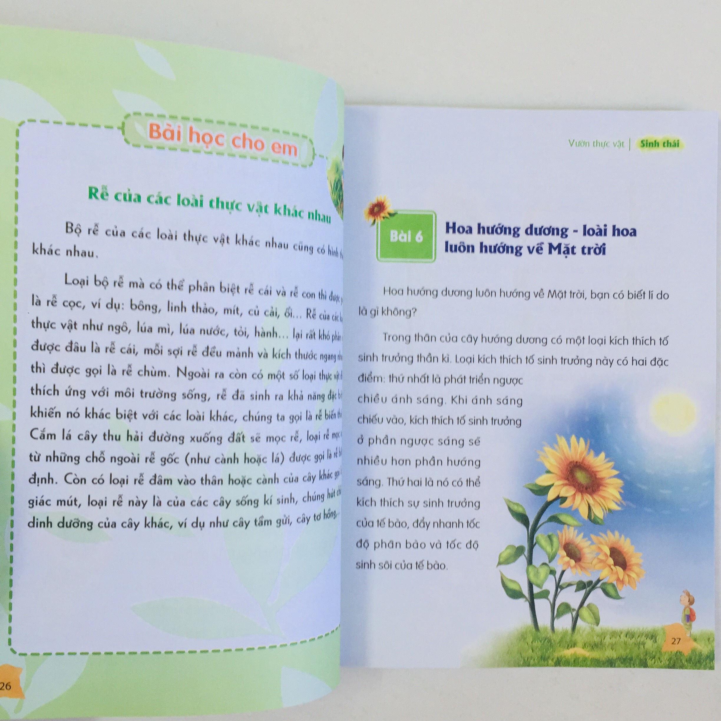 Thư Viện Tri Thức Dành Cho Học Sinh: Khám Phá Thế Giới Tự Nhiên + Những Điều Kì Thú Về Trái Đất