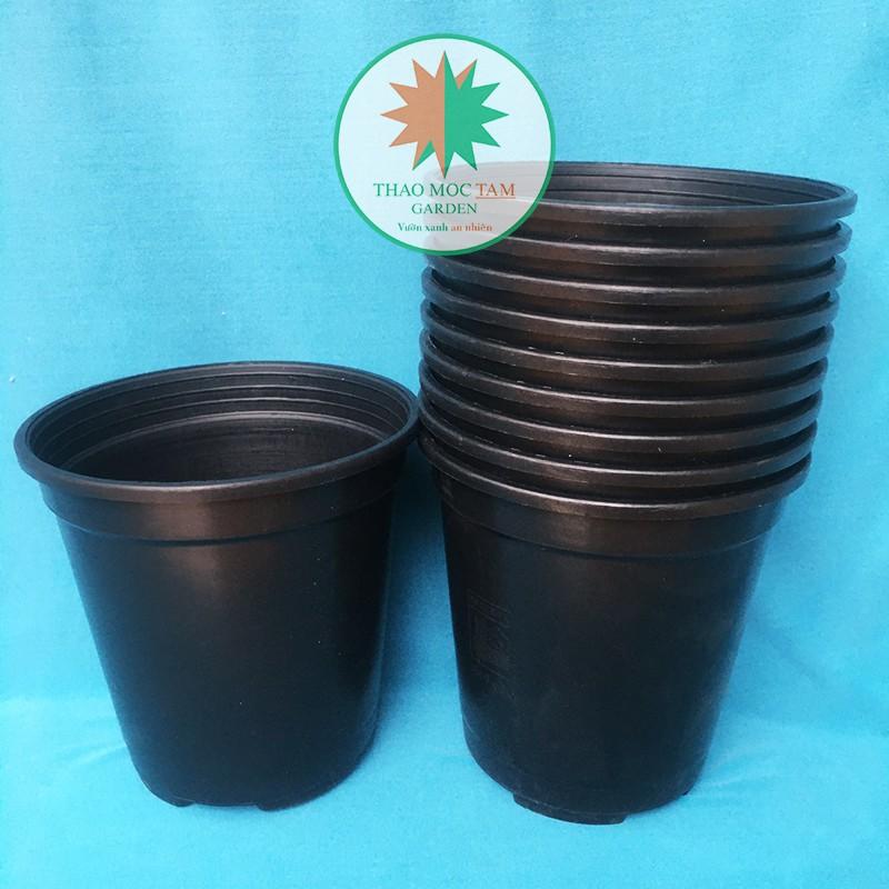 10c Chậu nhựa cứng 19x20cm – Chậu nhựa tròn cứng, dày, thích hợp trồng hoa hồng , hoa chậu, cây kiểng