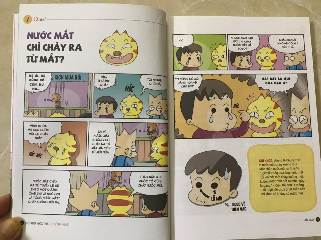 Combo 5 Cuốn: Quiz! Khoa Học Kì Thú : Bệnh tật Vi khuẩn, Cơ thể con người, Côn trùng, Động vật, Những cái nhất và đầu tiên trên thế giới