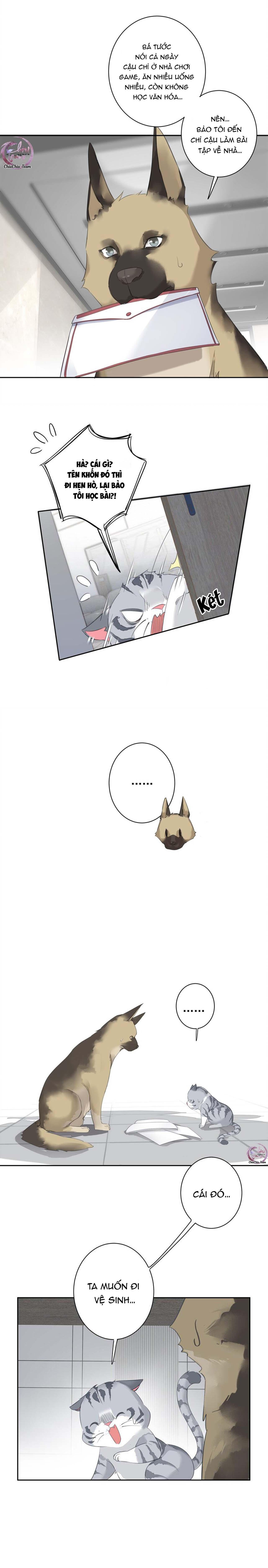 cuộc mai mối vượt giống loài chapter 54 6