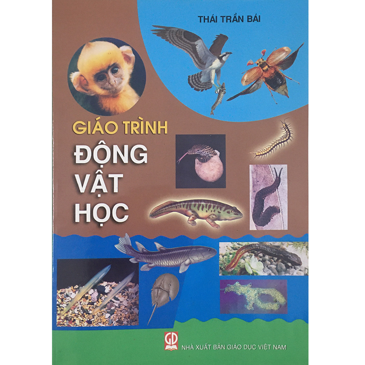 Giáo Trình Động Vật Học