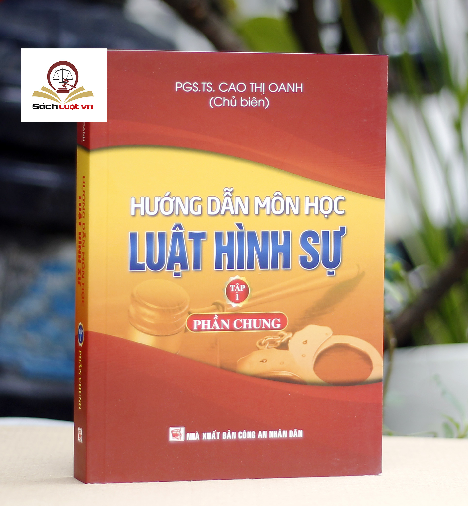 Hướng dẫn môn học Luật hình sự - Tập 1 (phần chung)