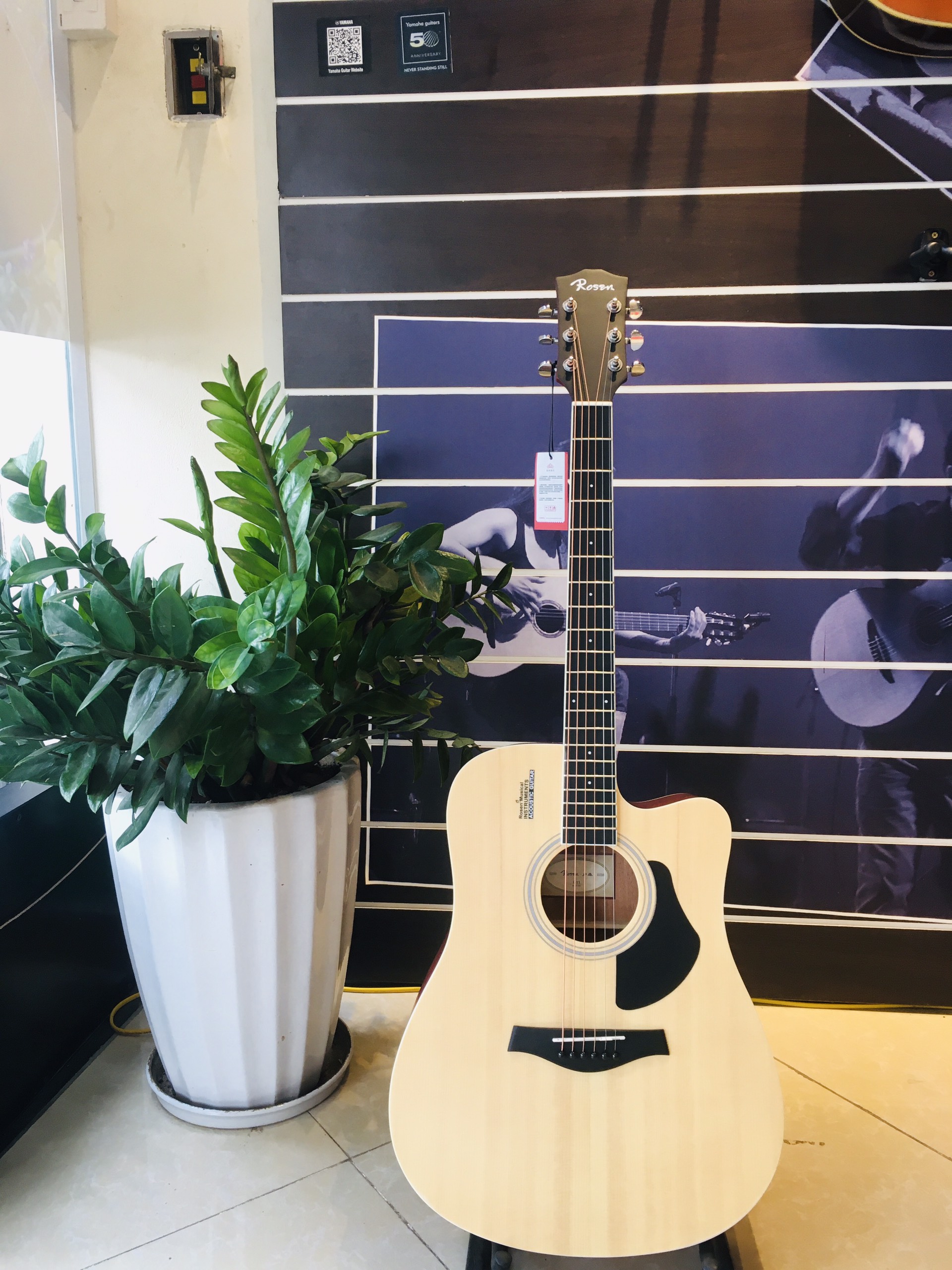 Đàn Guitar Acoustic Rosen R135 màu Vàng