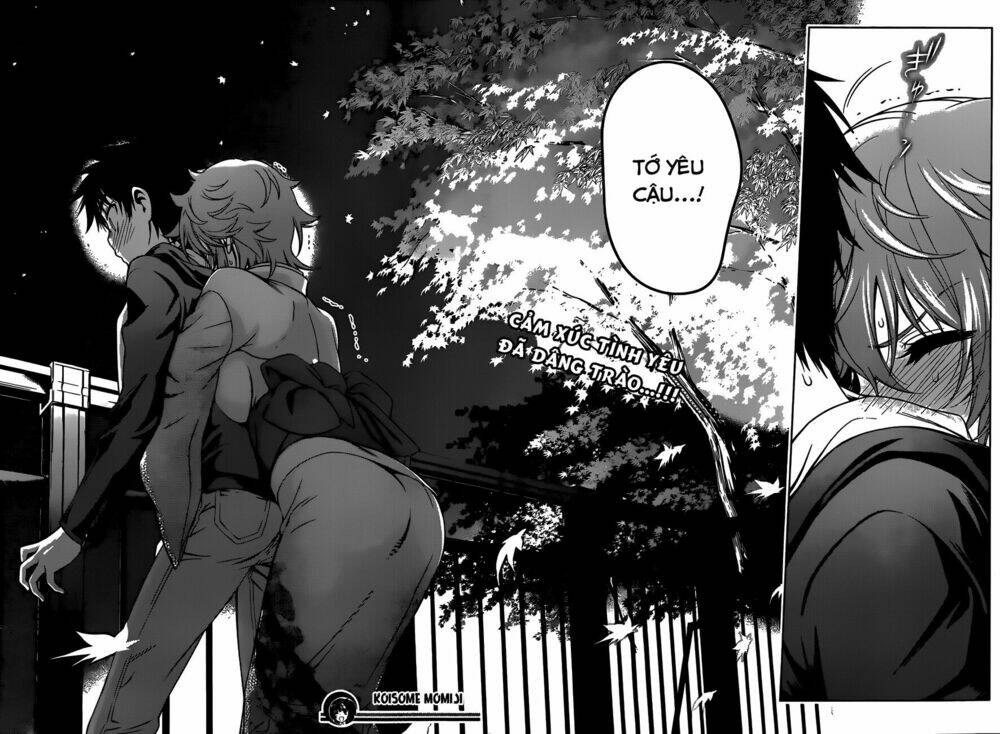 koisome momiji chapter 24 19