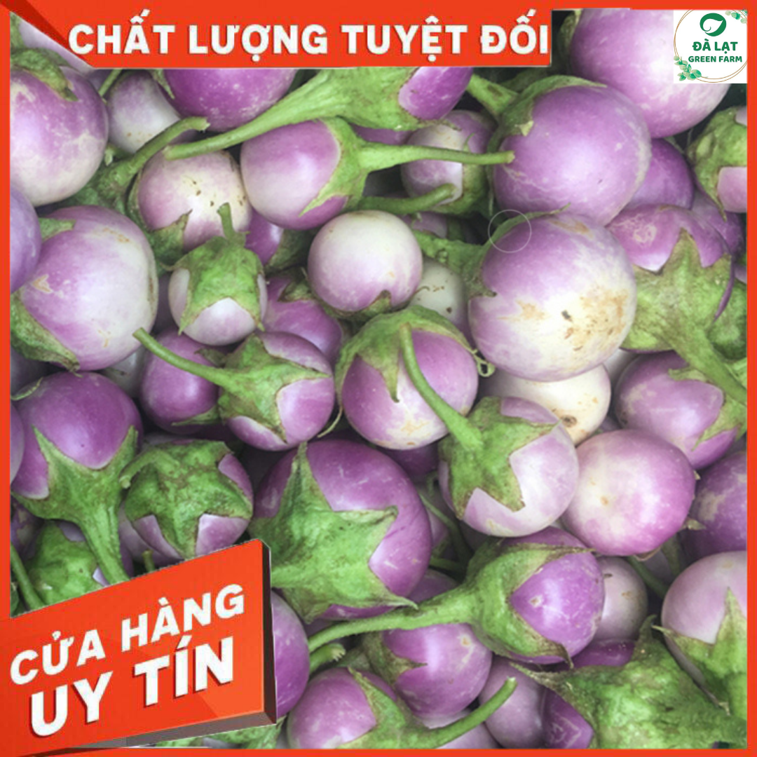 1GR - HẠT GIỐNG CÀ PHÁO TÍM