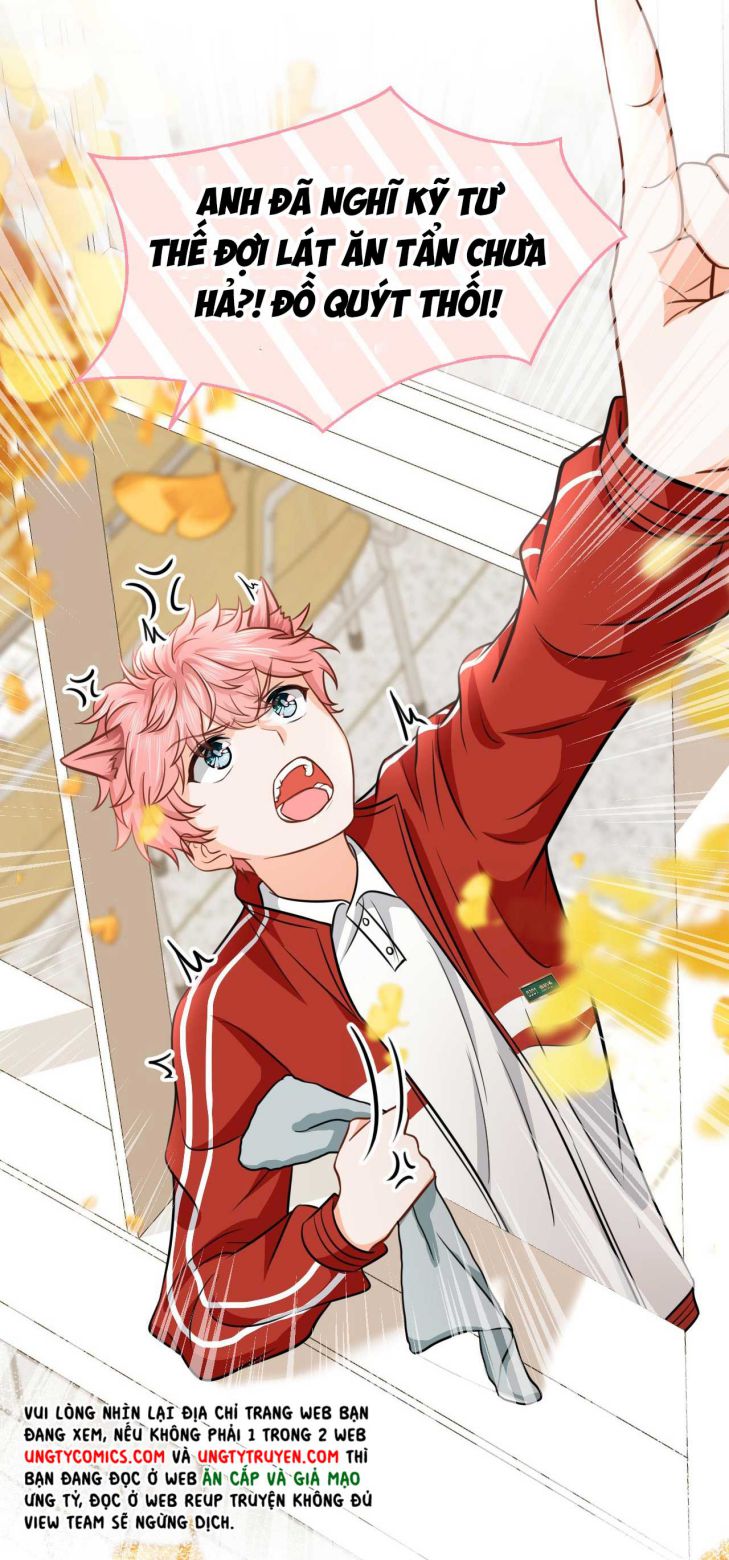 tín tức tố nói chúng ta không thể chapter 37 31