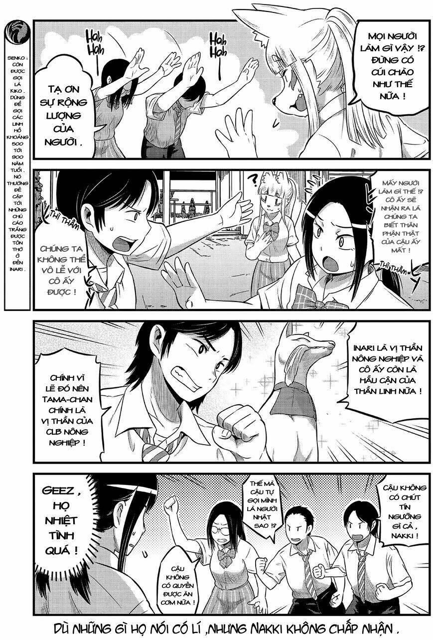 high school inari tamamo-chan ! chapter 13 4