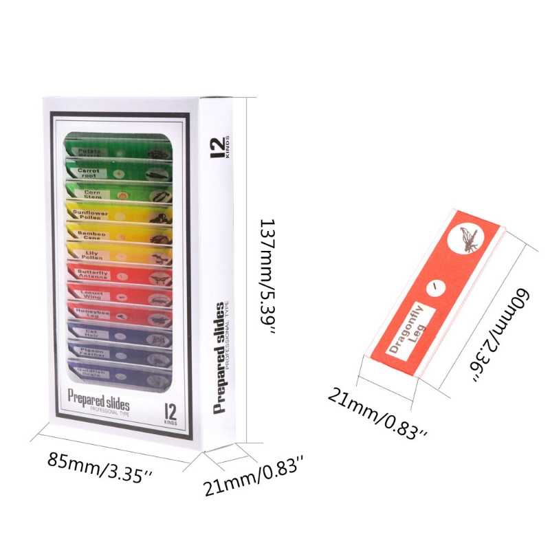 ROGTZ Bộ 12 Tiểu Bản Mẫu Vật Của Động Thực Vật Dùng Trên Kính Hiển Vi - Hàng Nhập Khẩu