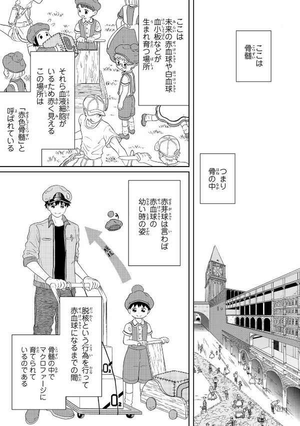 Cells At Work! 1 (Japanese Edition)