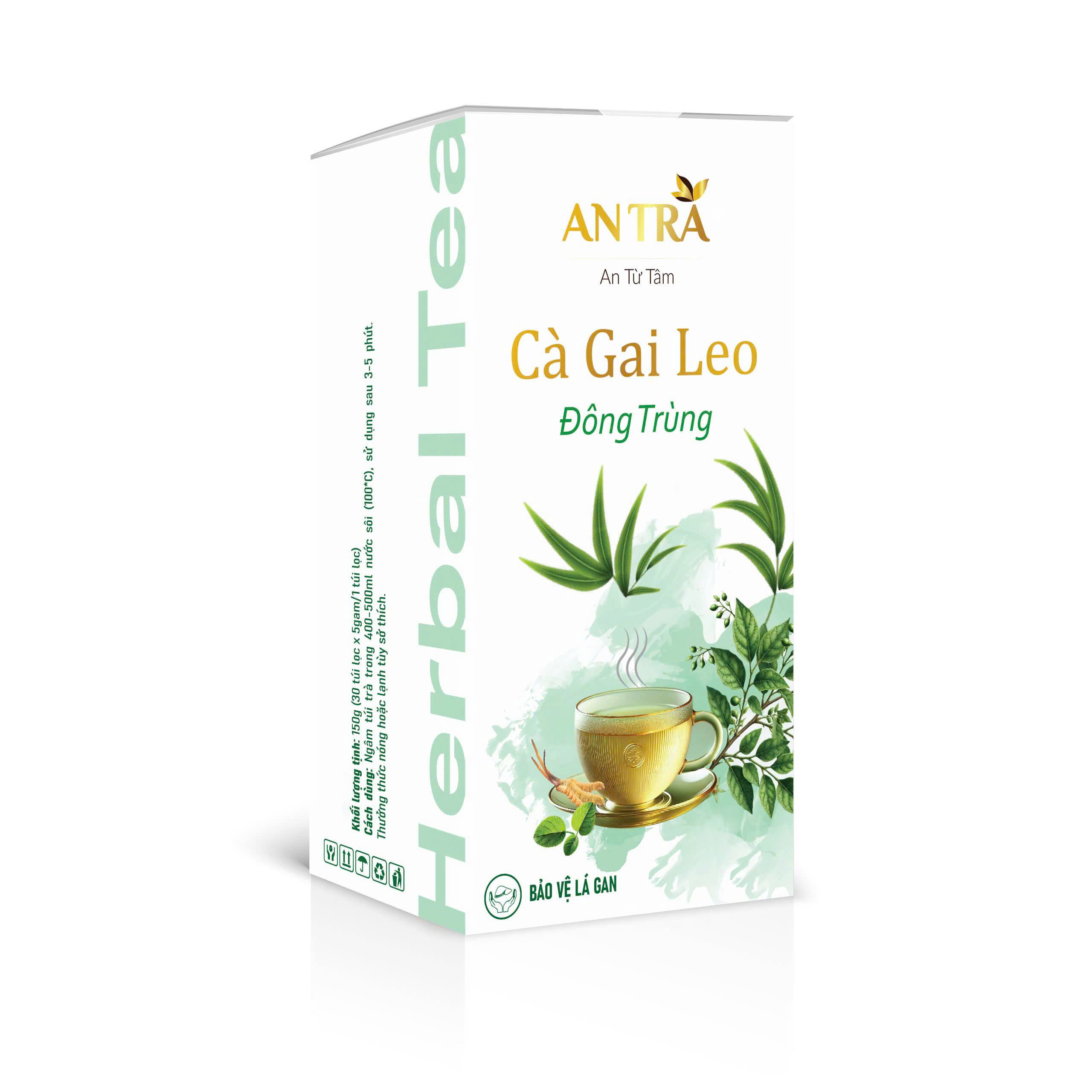 Trà Búp Ổi Hoa Nhài Giúp Ổn Định Đường Huyết Hỗ Trợ Giảm Mỡ, Mát Gan, Chống OXY Hoá An Thần