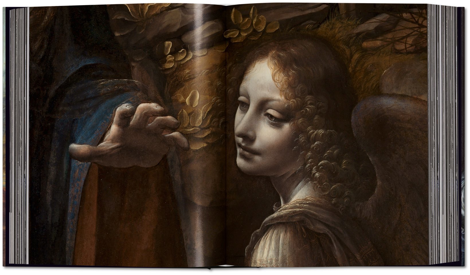 Leonardo: The Complete Paintings And Drawings