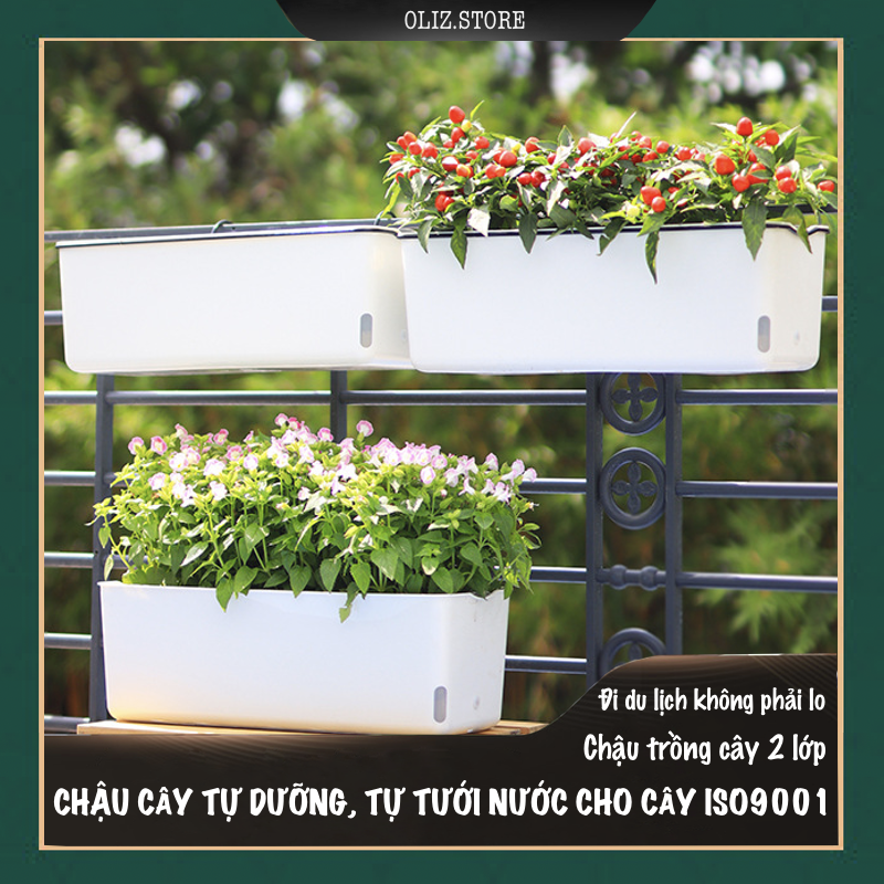 Chậu nhựa trồng cây A207. Chậu trồng cây tự dưỡng 2 lớp, có chức năng tự hút nước cho cây
