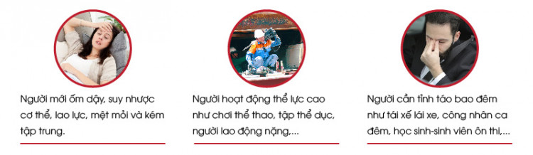 VIÊN TĂNG LỰC NHÂN SÂM TỎI ĐEN ZBULL