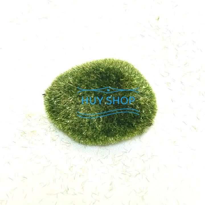 Hoa cỏ nhân tạo - RÊU CỤC, hoa Điểm trang trí BACKGROUND