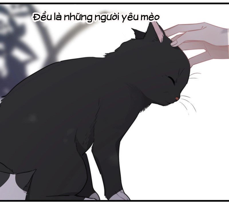 người đàn ông ấy khiến tôi không thể cưỡng lại chapter 11 46