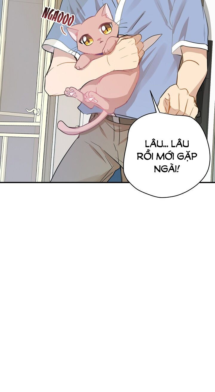 cuộc sống kỳ thú chapter 36 53