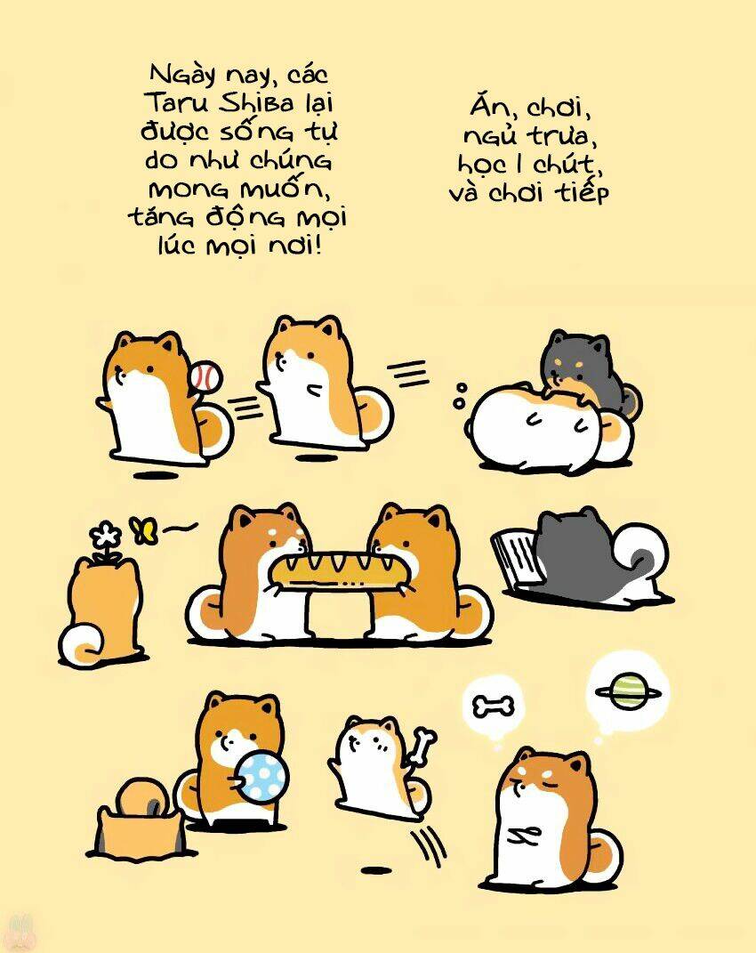 taru shiba chapter 9 8