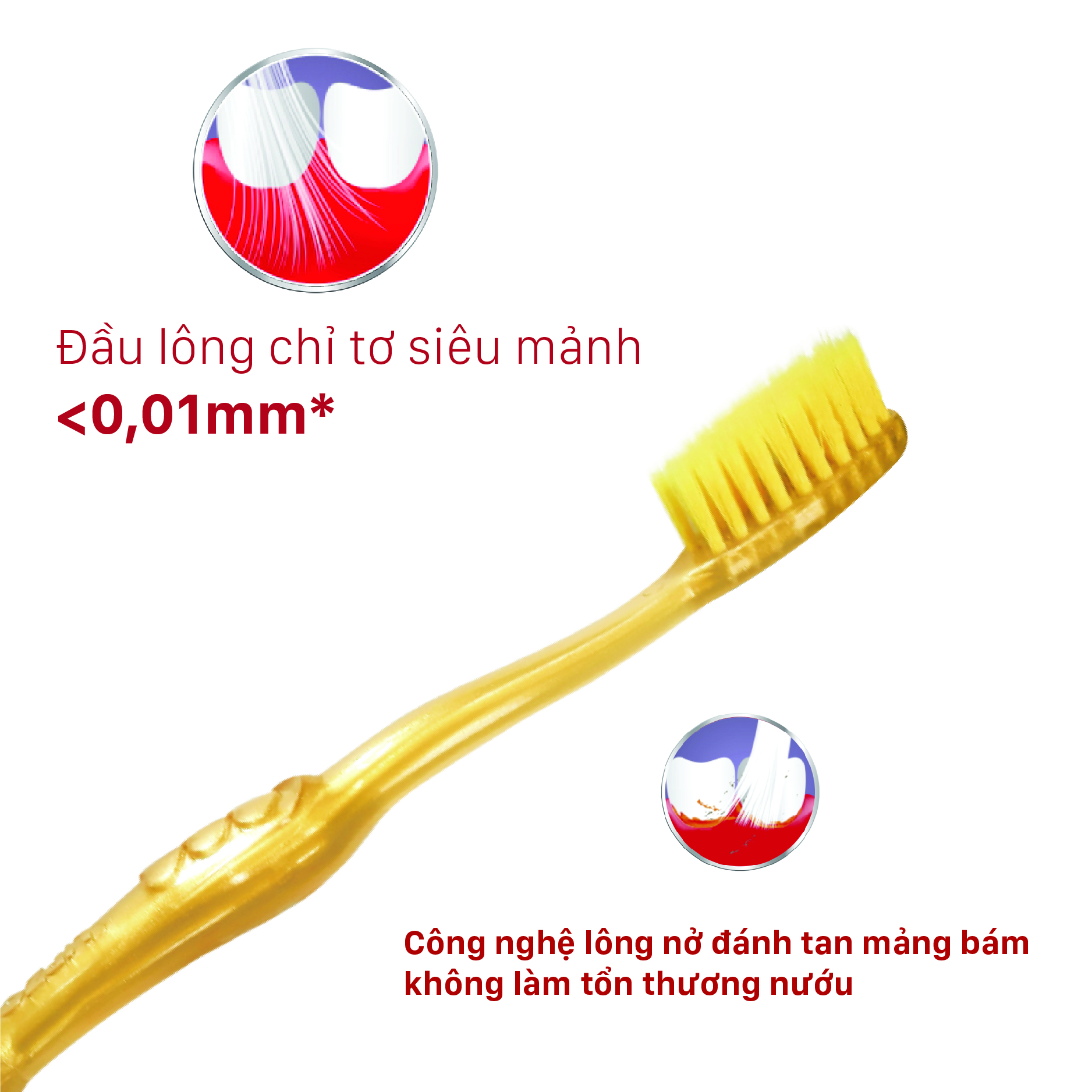 Bàn Chải Đánh Răng LIPZO Ruby Gold Công Nghệ Chỉ Tơ Vàng Xoắn Kép Nano Kháng Khuẩn