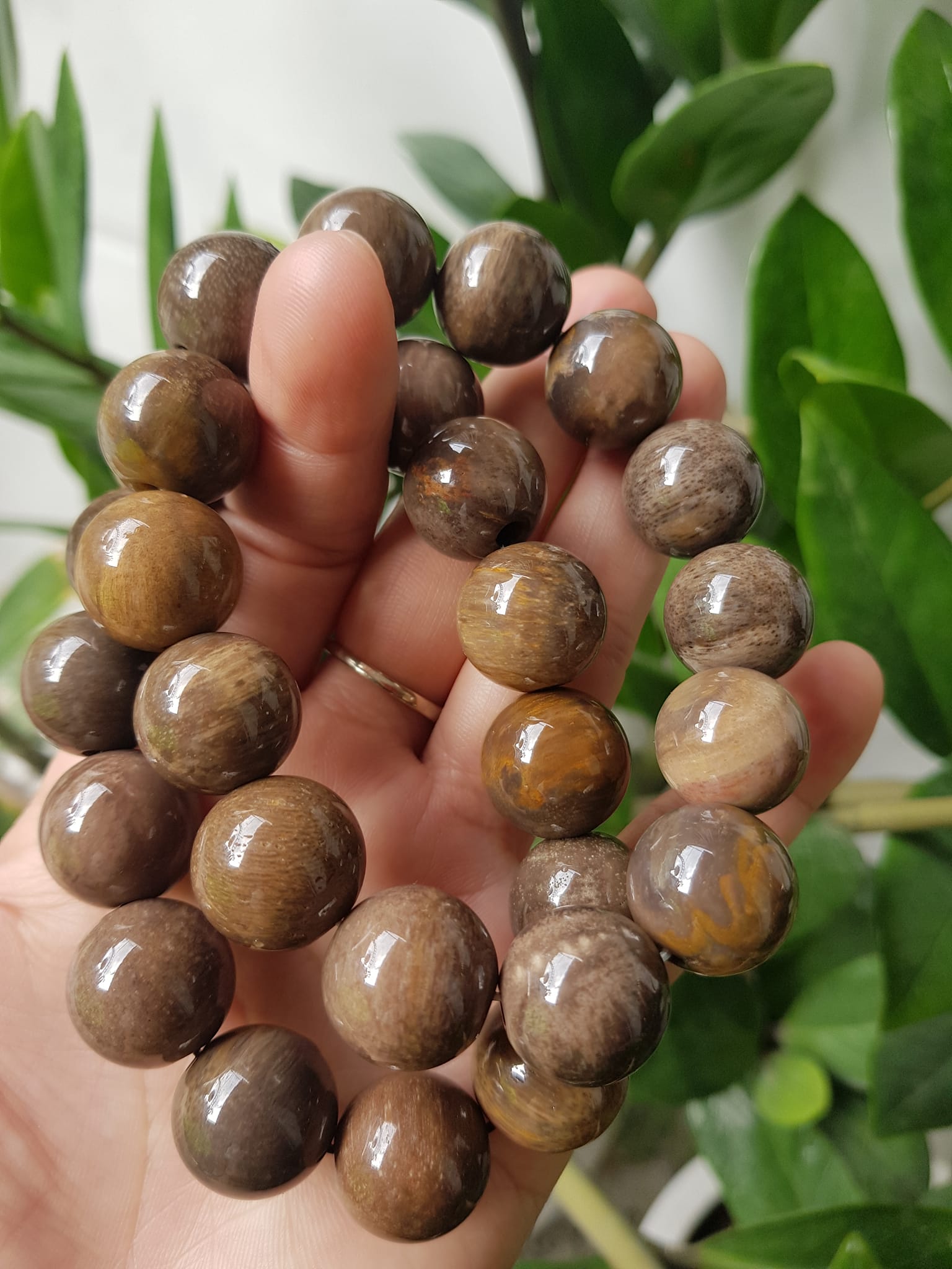Vòng Gỗ Hóa Thạch Nam 16mm Màu Sáng Bóng Tự nhiên Gỗ Hóa Thạch Đẹp Nam đeo size vòng 16mm sang tay ạ