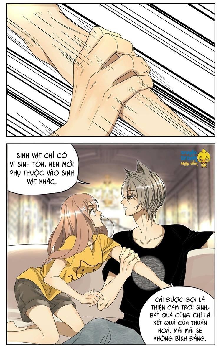 cứu mạng ! loài mèo thống trị thế giới rồi ! chapter 11 12