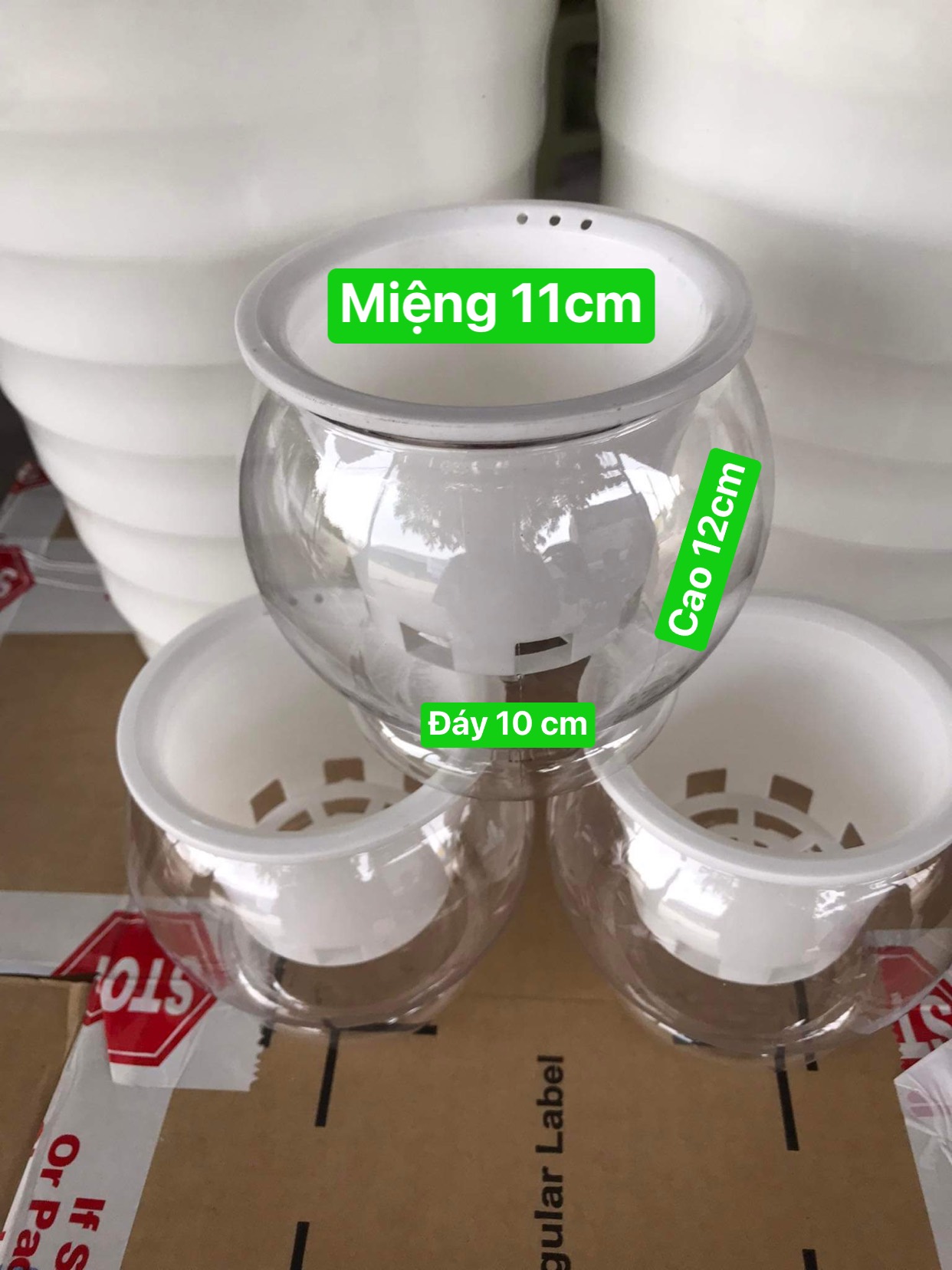 3 Chậu nhựa trồng cây thủy sinh -  thủy canh- bằng nhựa trong suốt