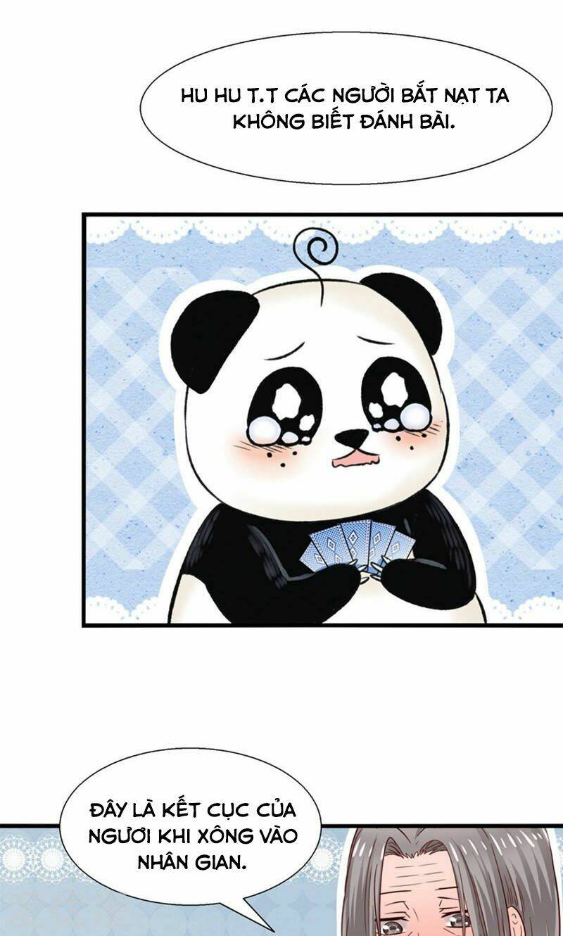 tôi bị gấu trúc nhìn trúng rồi chapter 17 14