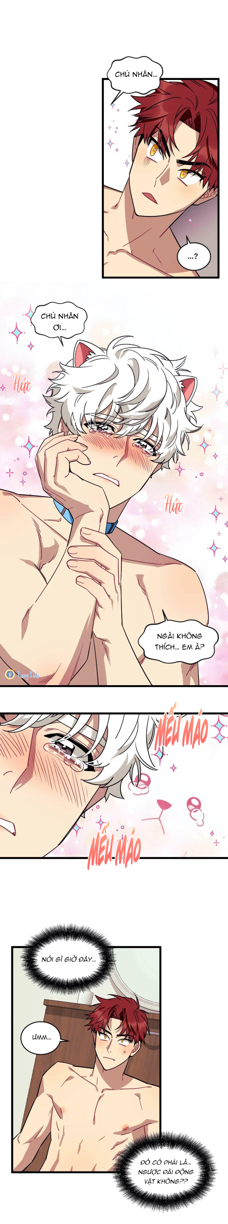 điều ước của cậu là mệnh lệnh của tớ chapter 12 11