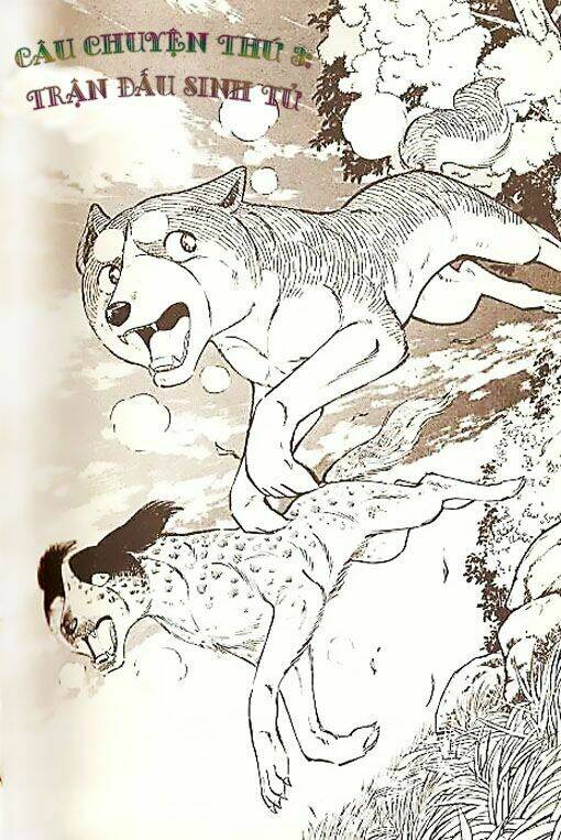 ginga densetsu weed (legend) chapter 3 1