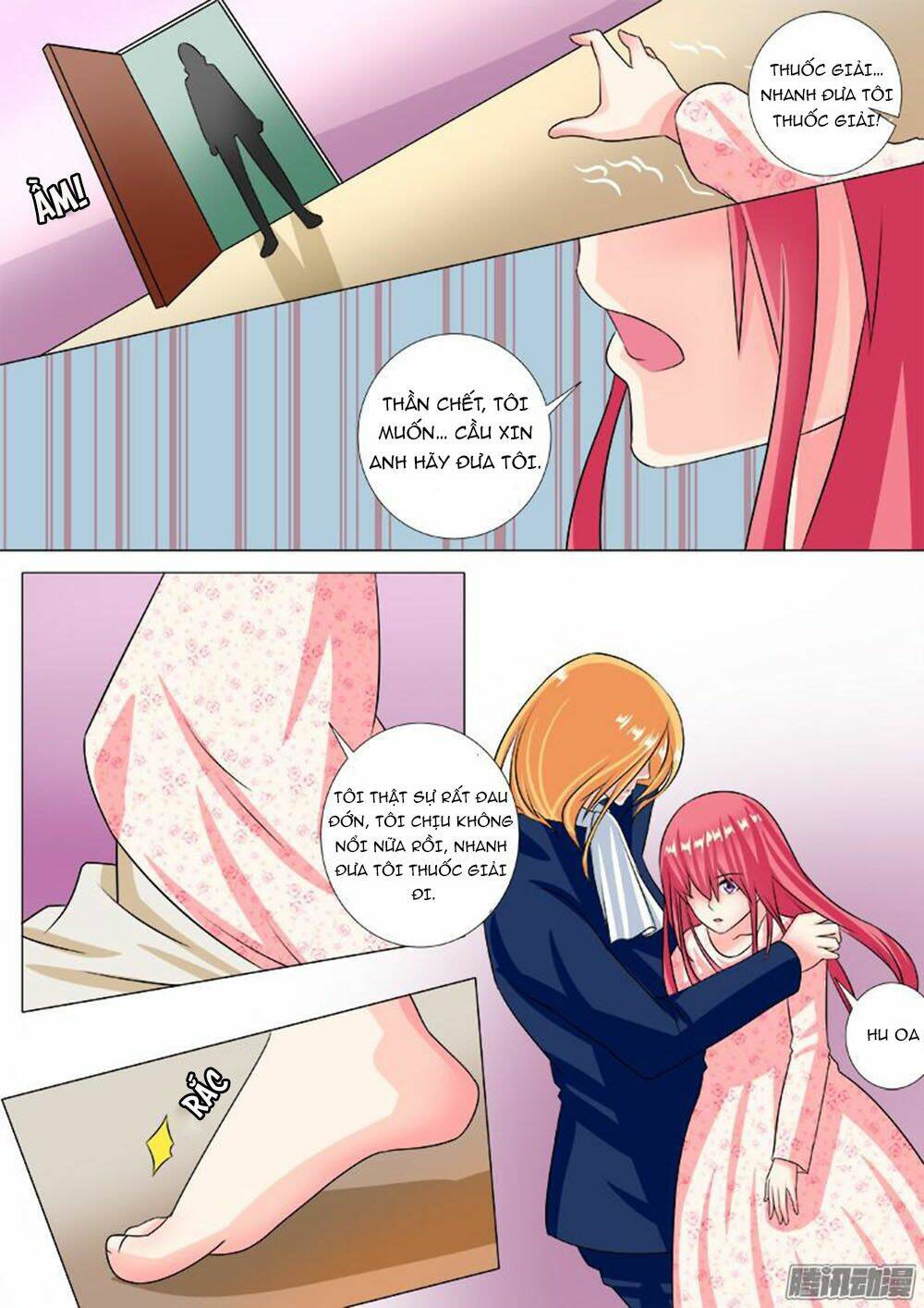 bạn trai hắc đạo của tôi chapter 232 3