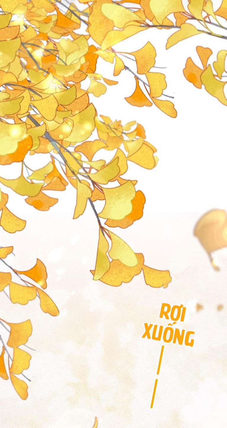 tín tức tố nói chúng ta không thể chapter 40 28