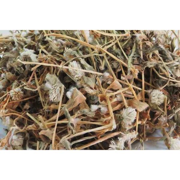 CHUẨN - 01KG Cây Nở Ngày Đất Phơi Khô Loại 1