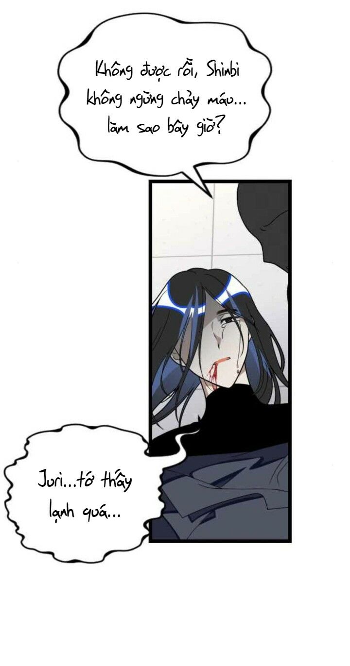 survive romance chapter 37 40