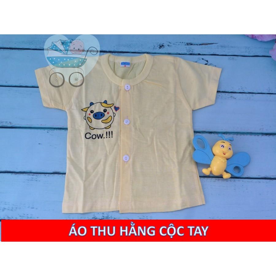 Áo Thu Hằng cộc tay