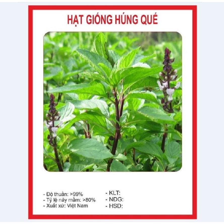 Combo 9 gói hạt giống rau thơm dễ trồng thời gian thu hoạch nhanh