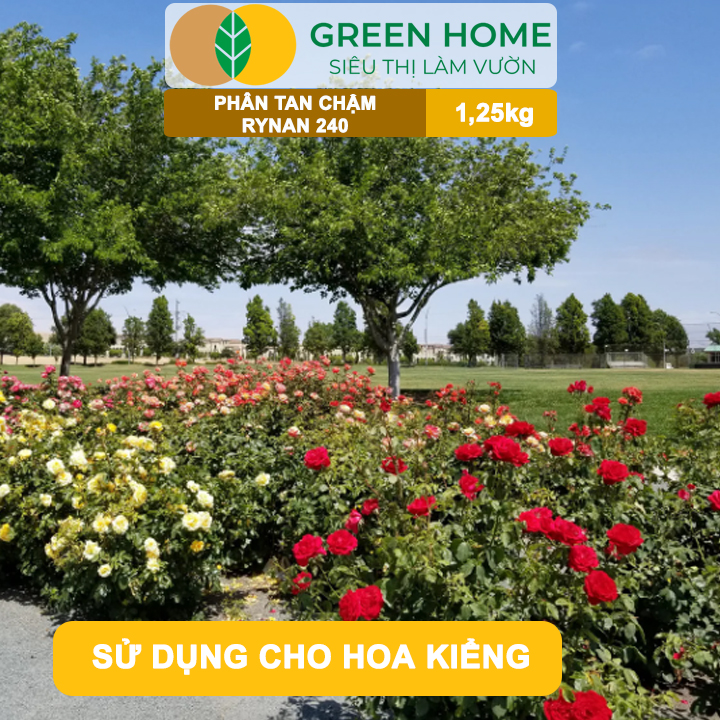 Phân Tan Chậm GreenHome, Rynan 240, Hũ 1,25kg, Dùng Cho Hoa Hồng Ra Hoa Đều Và Màu Sắc Rực Rỡ