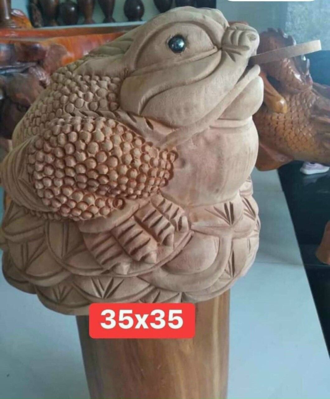 Cóc ngậm tiền gỗ xá xị ngang 30 cm-tượng cóc phong thuỷ